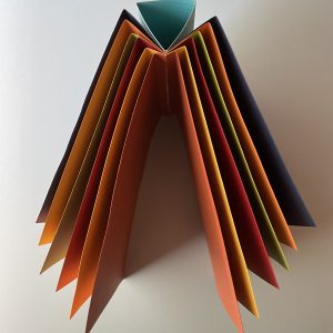 Libro Araña "Mujeres, frases motivadoras" - Libro experimental