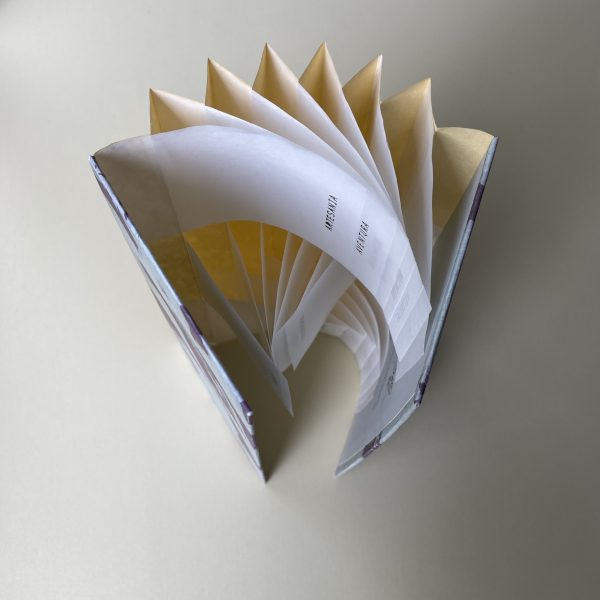 Flag Book Recuerdos - Libro experimental - Imagen 3